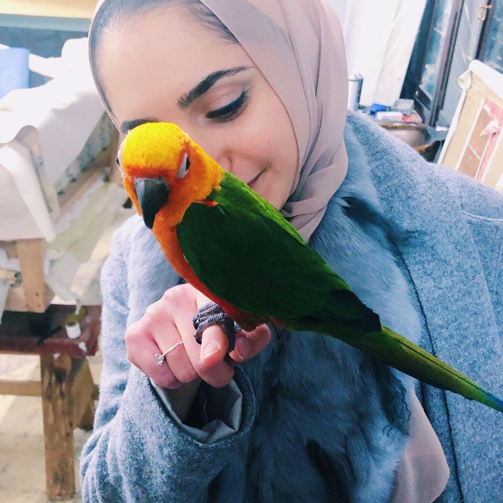 Meet your Posher, Aisha